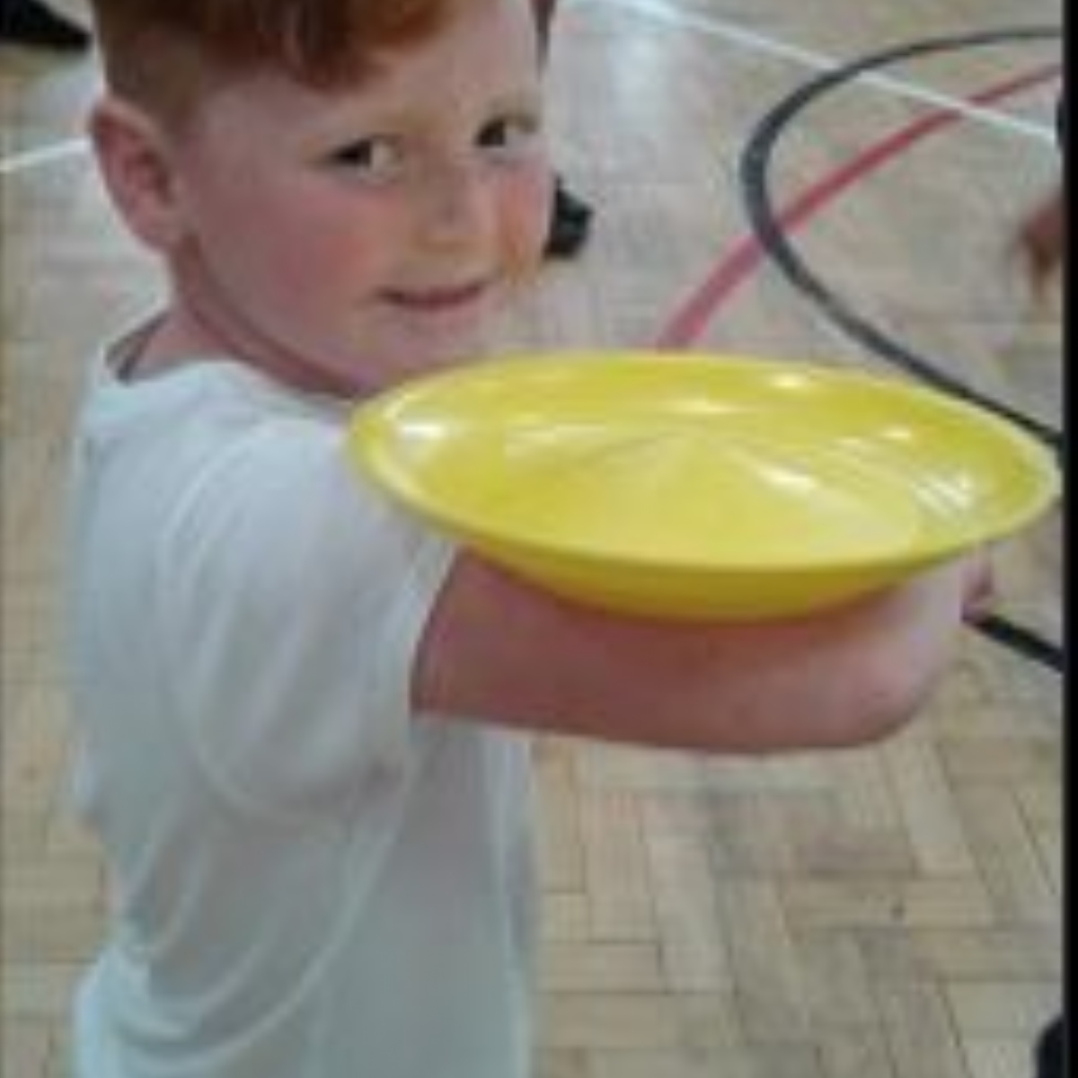 Westlands primary school year 3 welcome back to term6