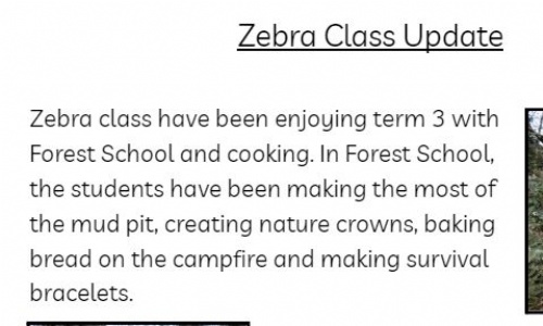 Westlands Primary School - Zebra Class Term 3 Update